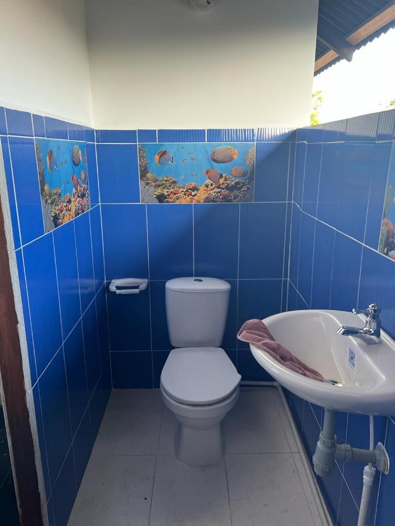 Casa Colibri *